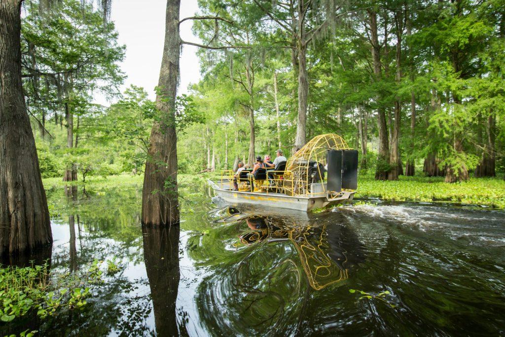 Unforgettable Swamp Tours Experience
